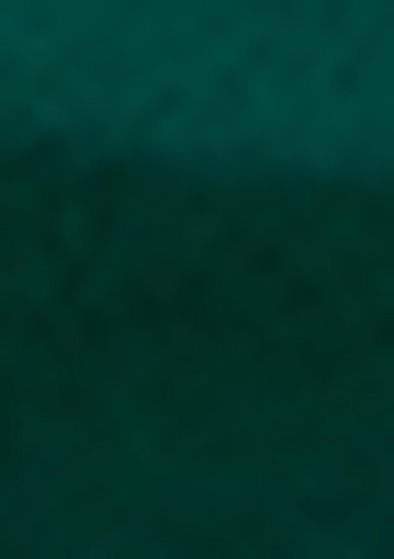 Teal Blue Embroidered Fancy Fabric Saree Set