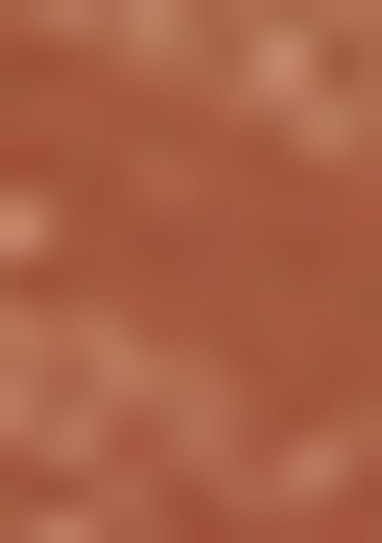 Rust Red Embroidered Fancy Fabric Saree Set