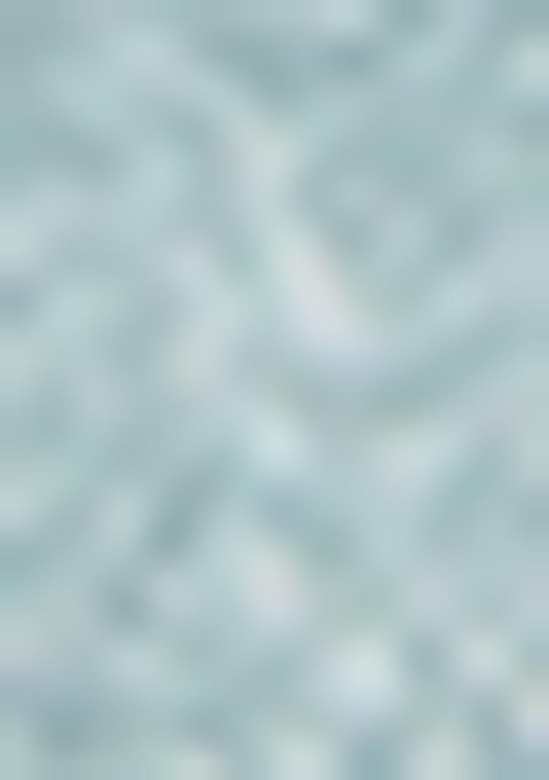 Sky Blue Embroidered Fancy Fabric Saree Set