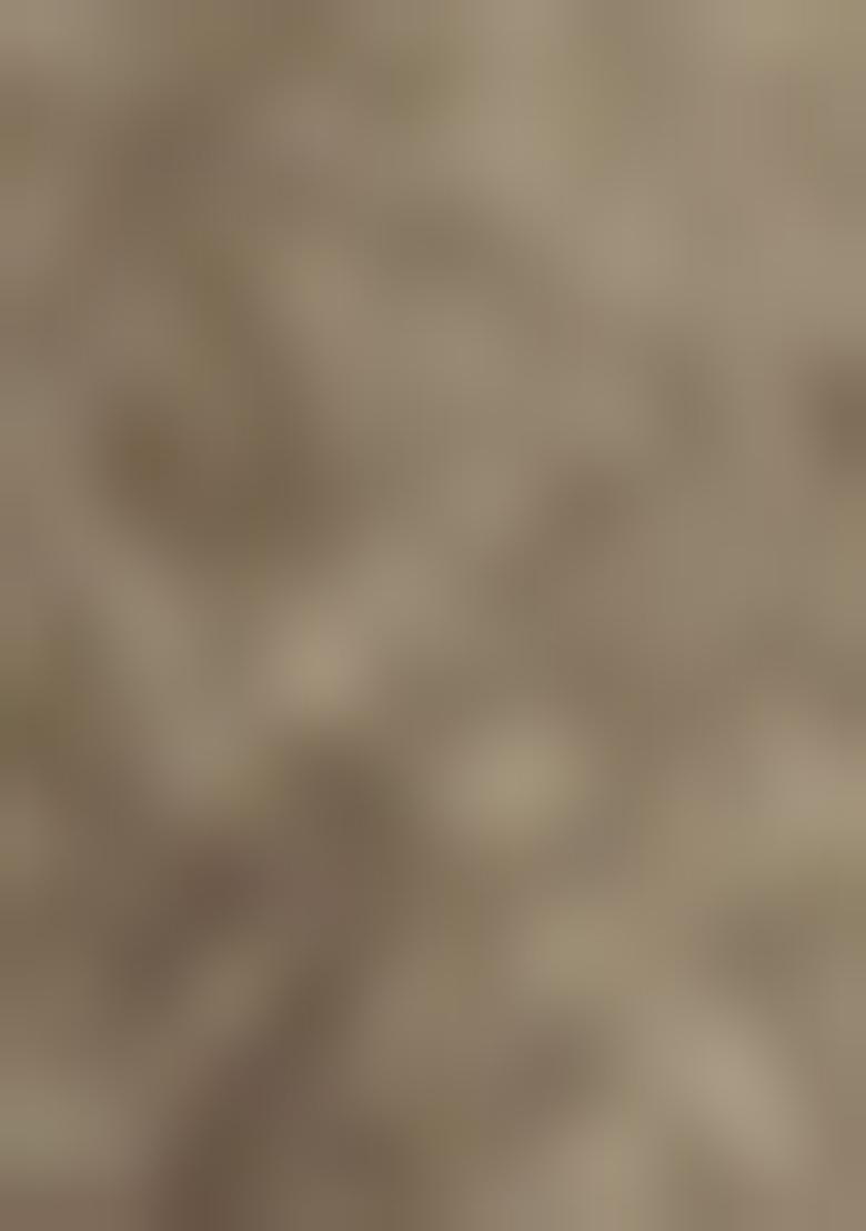 Grey Embroidered Fancy Fabric Saree Set