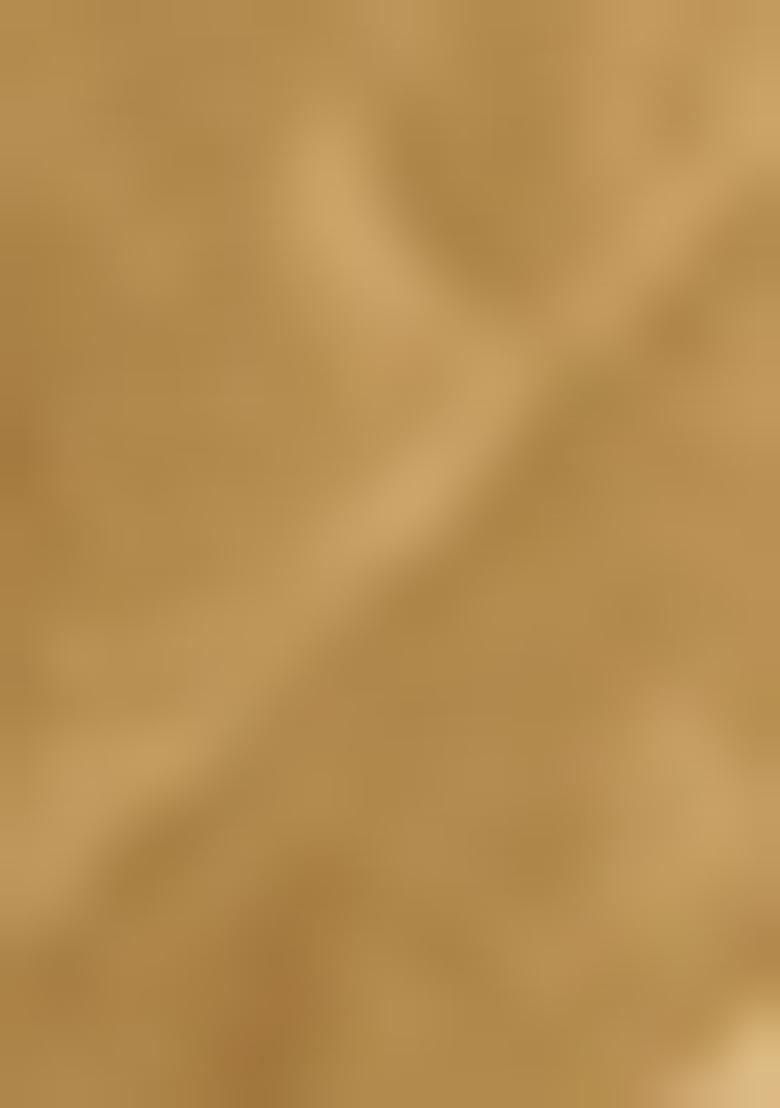 Golden Embroidered Fancy Fabric Saree Set