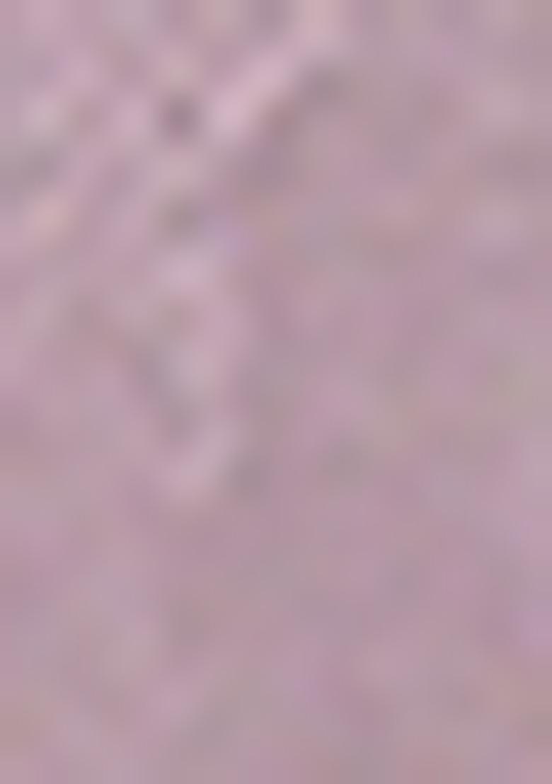 Lavender Embroidered Silk Saree Set