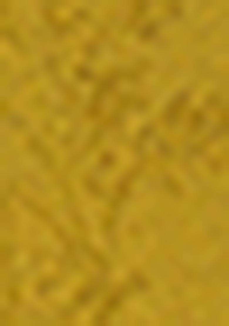 Mustard Yellow Embroidered Silk Saree Set