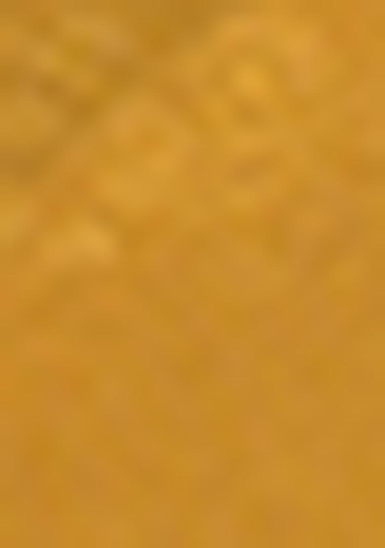 Yellow Embroidered Silk Saree Set