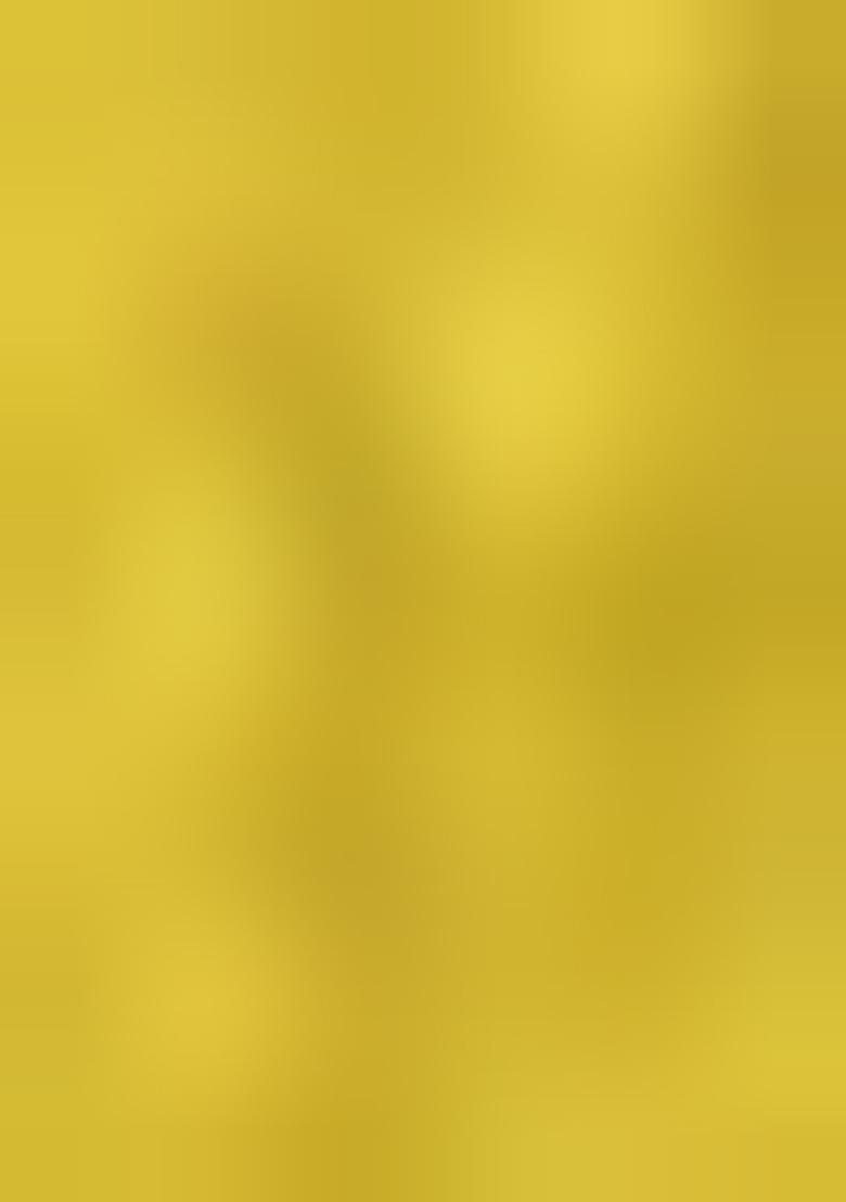 Pear Green Embroidered Silk Saree Set