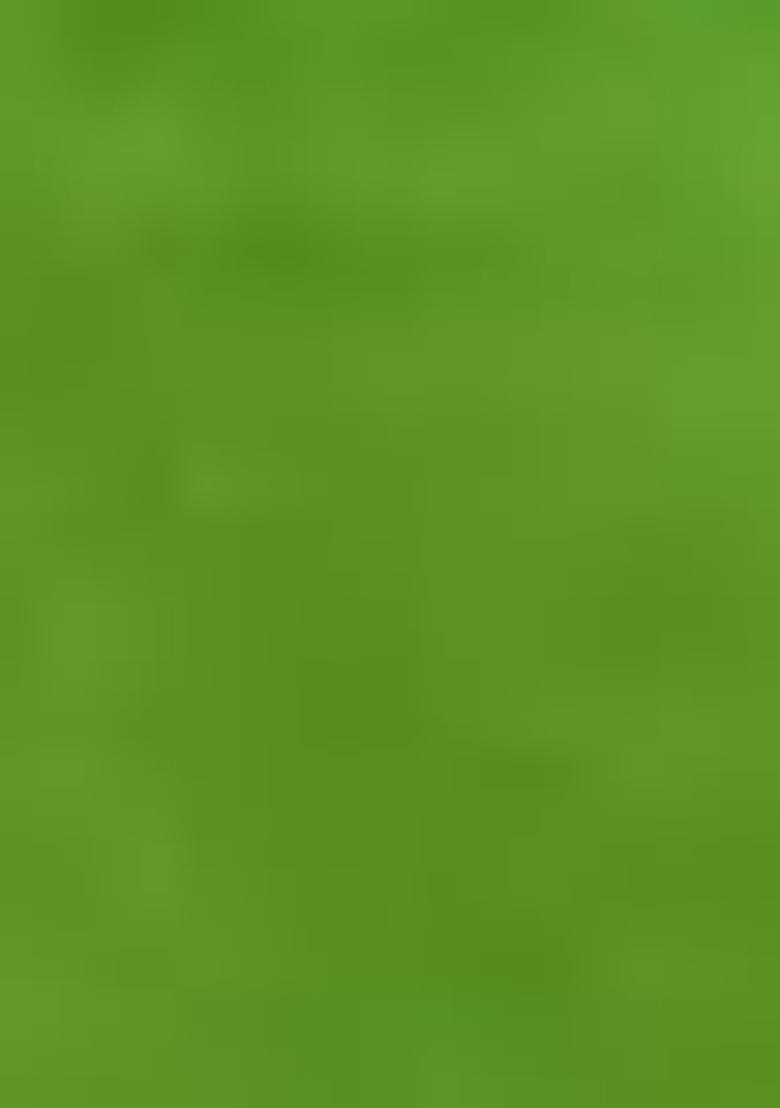 Green Buti Work Cotton Saree (Without Blouse)