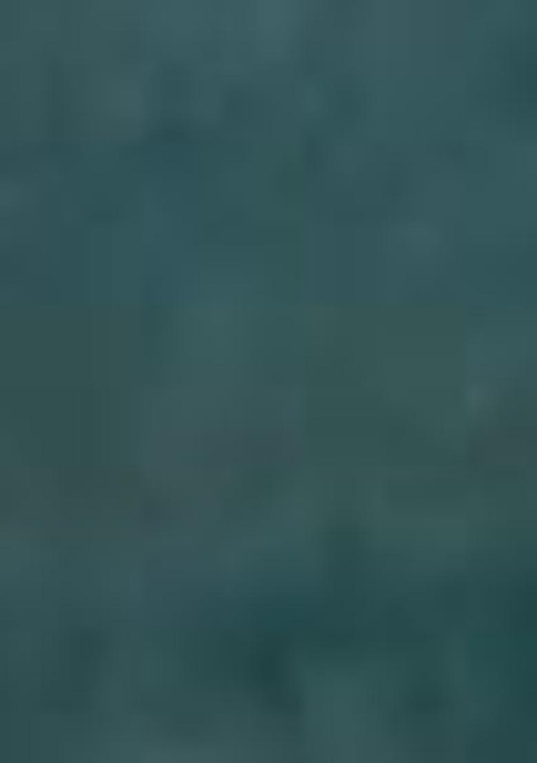 Green Printed Cotton Saree Set