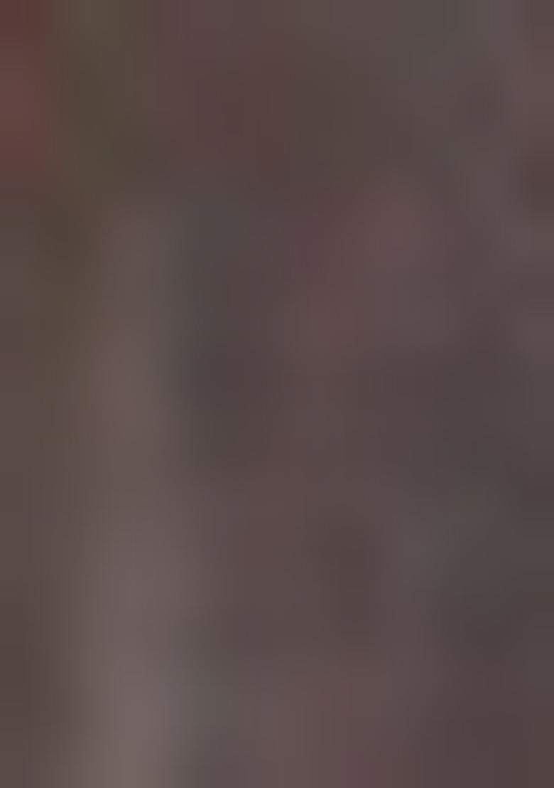 Grey Printed Cotton Saree Set