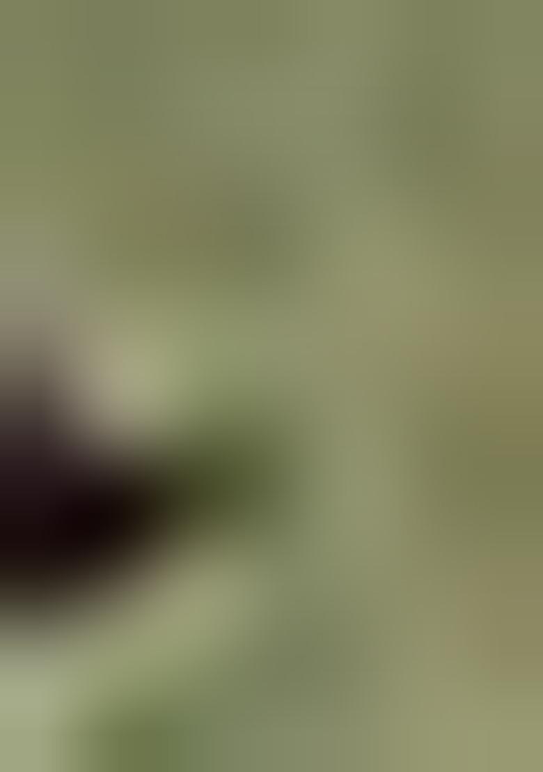 Green Printed Cotton Saree Set