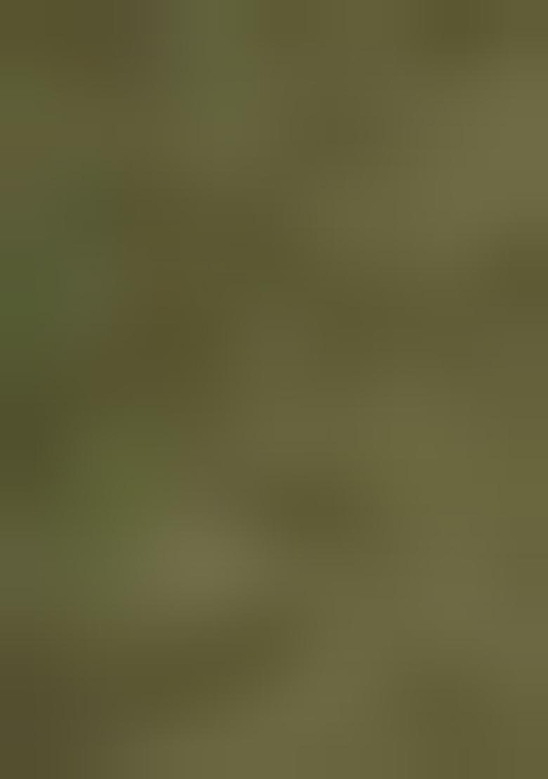 Green Printed Cotton Saree Set