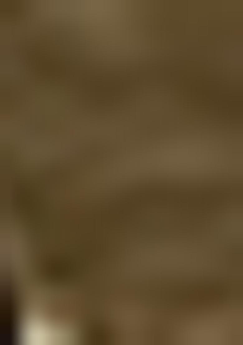 Grey Printed Cotton Saree Set