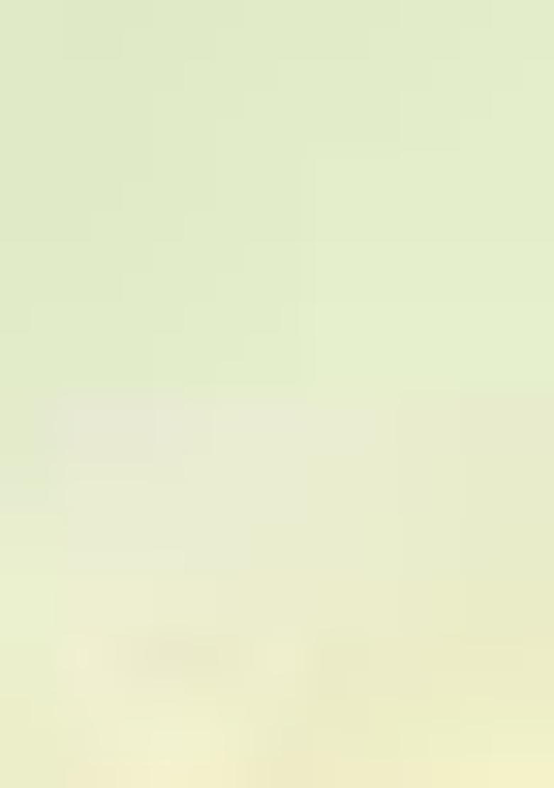 Lime Yellow Hand Embroidered Georgette Saree Set