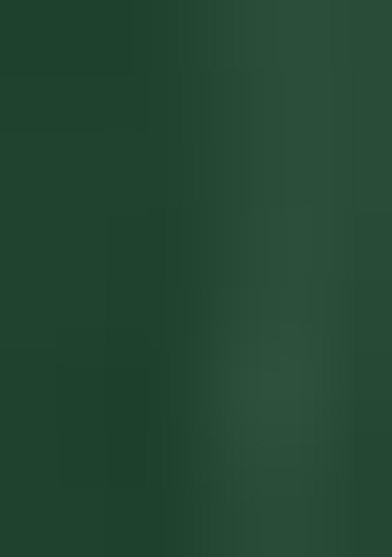 Green Weaving Linen Saree Set