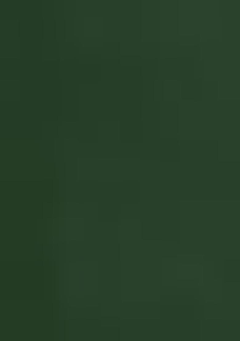 Green Weaving Silk Saree Set