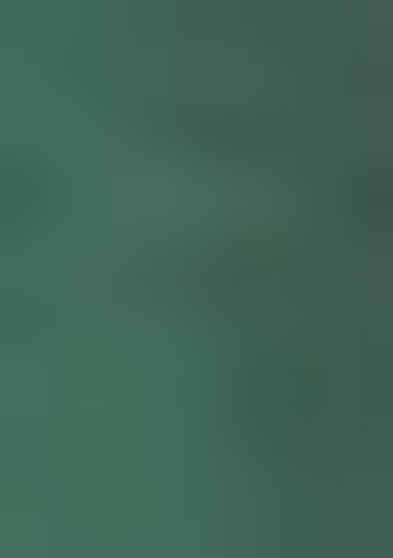 Green Weaving Silk Saree Set