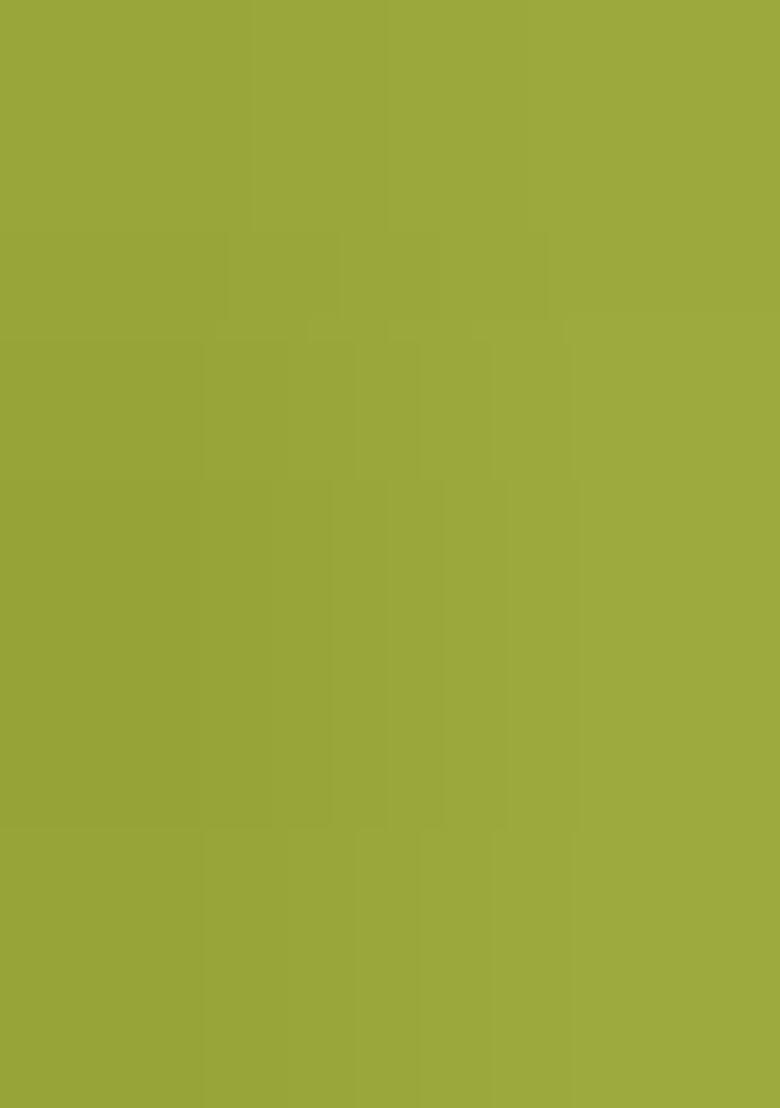 Olive Jacquard Cotton Saree Set