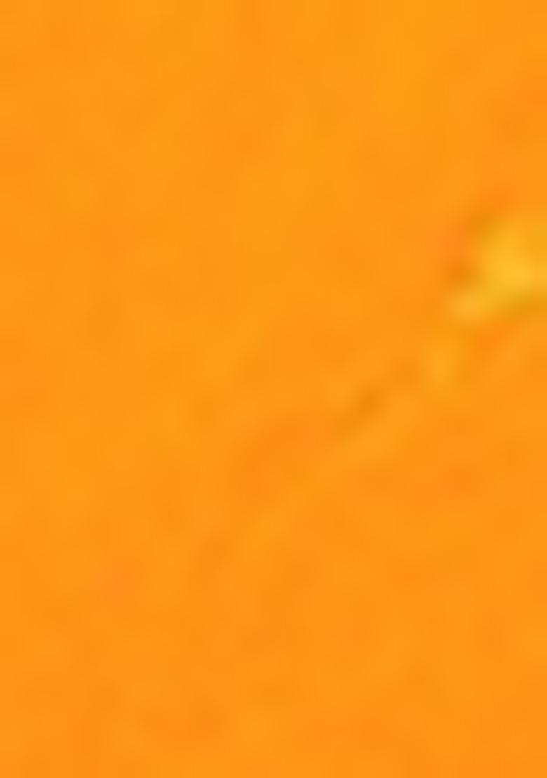 Mustard Yellow Sequin Work Silk Saree Set - Indya