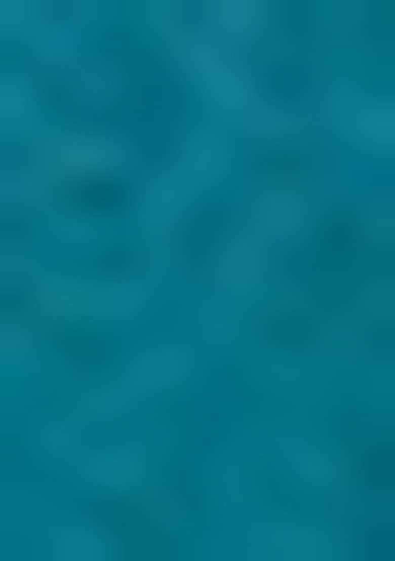 Teal Blue Work Net Saree Set with Sequin for Diwali | Wedding & Festive Wear - Indya