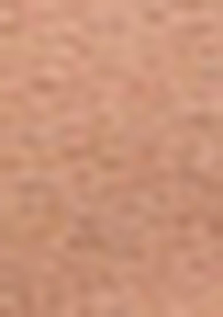 Peach Embroidered Net Saree Set - Indya