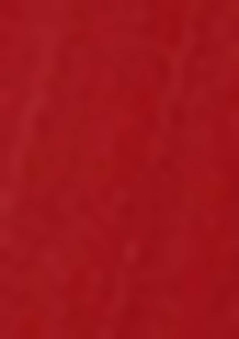Red Work Net Saree Set with Sequin for Diwali | Wedding & Festive Wear - Indya