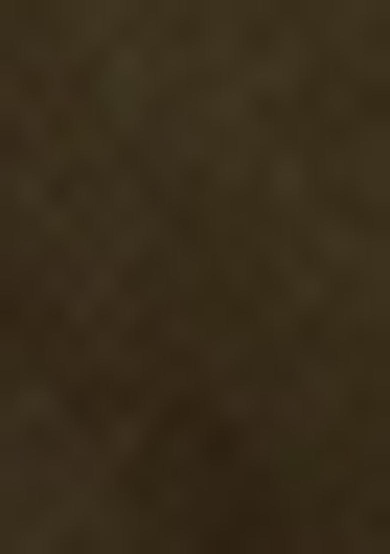 Mehandi Green Sequin Work Net Saree Set