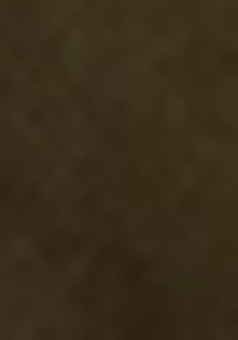 Mehandi Green Sequin Work Net Saree Set