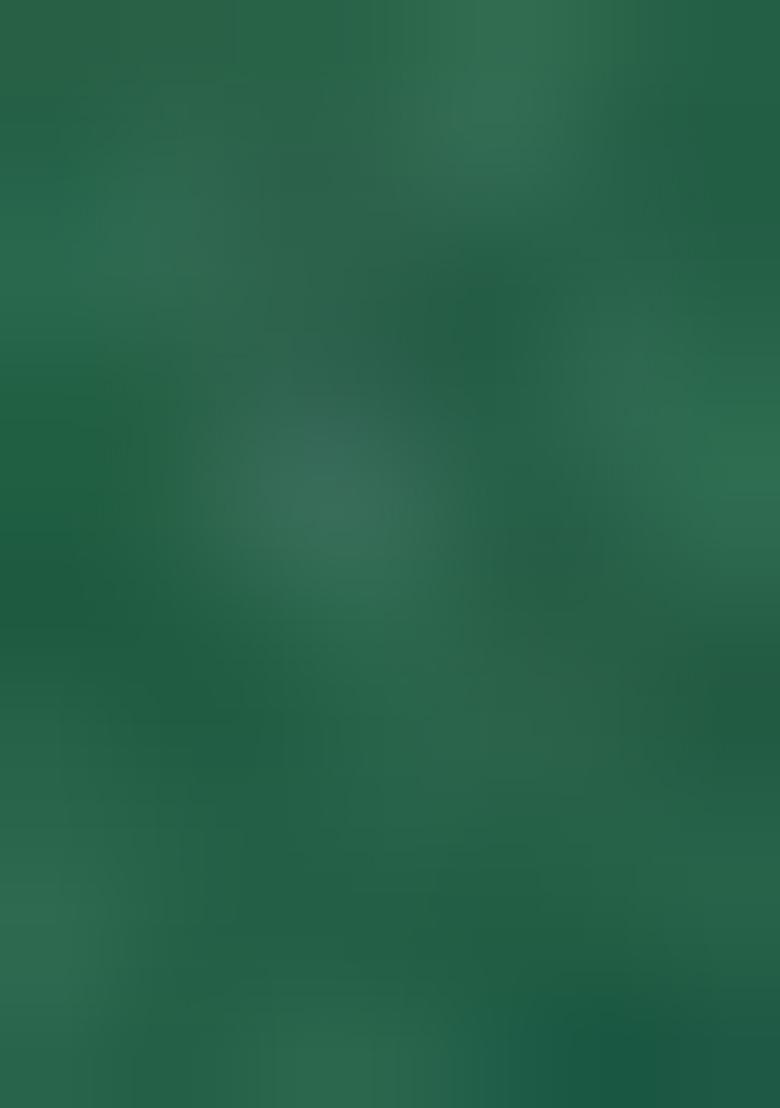 Bottle Green Embroidered Silk Saree Set - Indya