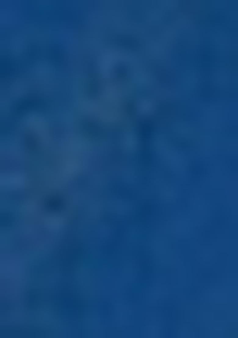 Teal Blue Sequin Work Art Silk Saree Set