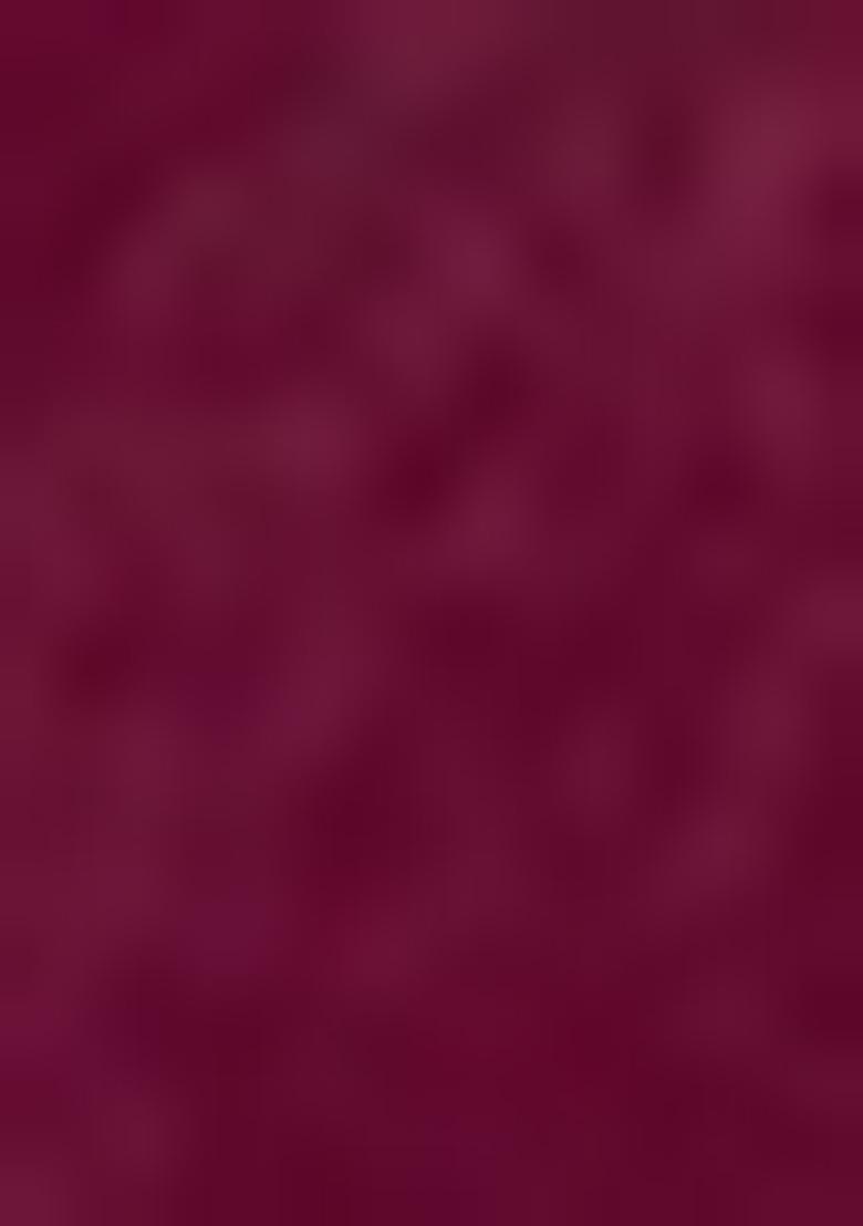 Wine Zari Work Satin Saree Set