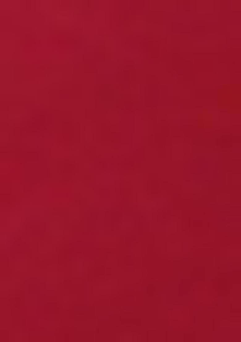 Maroon Zari Work Georgette Saree Set