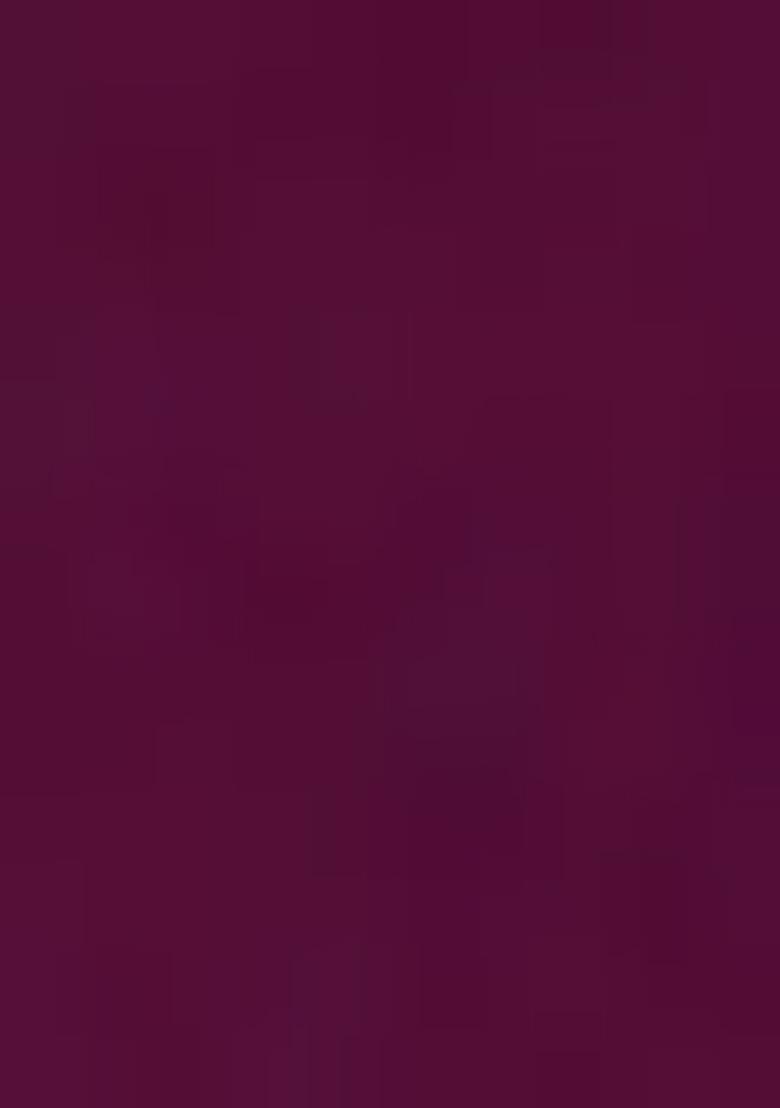 Wine Zari Work Georgette Saree Set