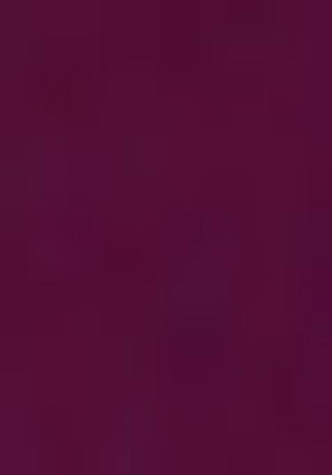 Wine Zari Work Georgette Saree Set