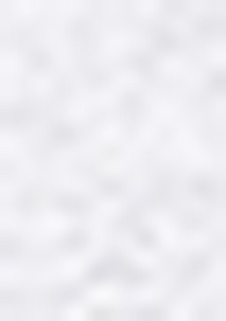 White Zari Work Georgette Saree Set