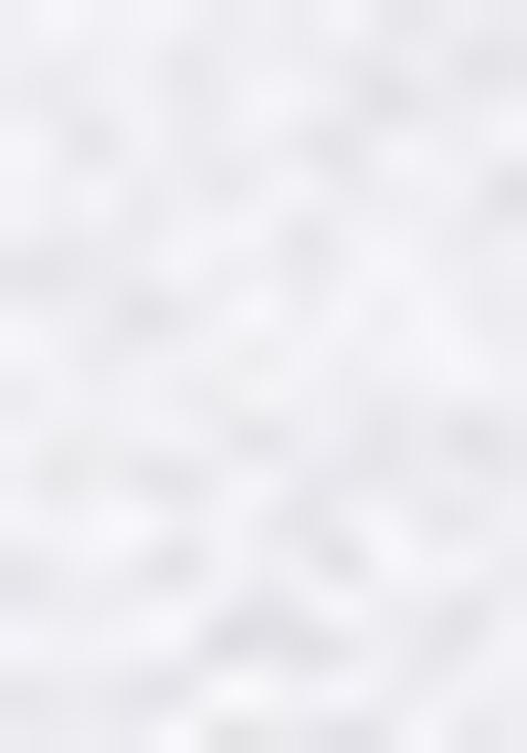 White Zari Work Georgette Saree Set