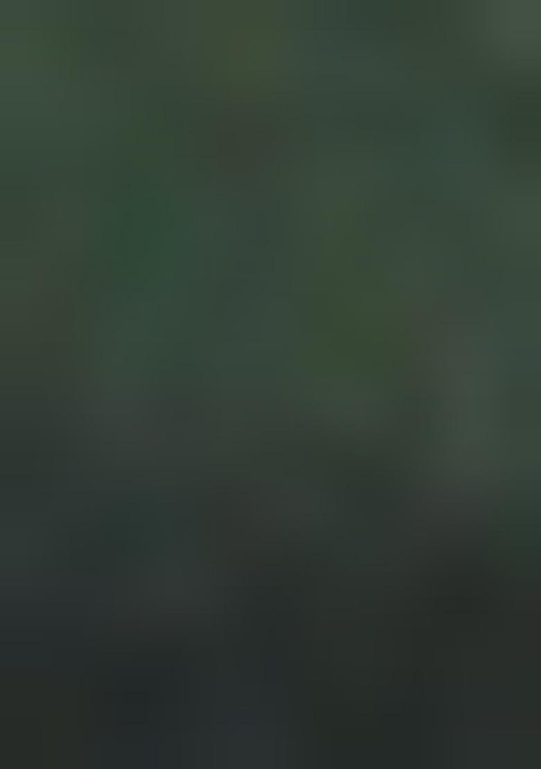 Green Embroidered Cotton Saree Set - Indya