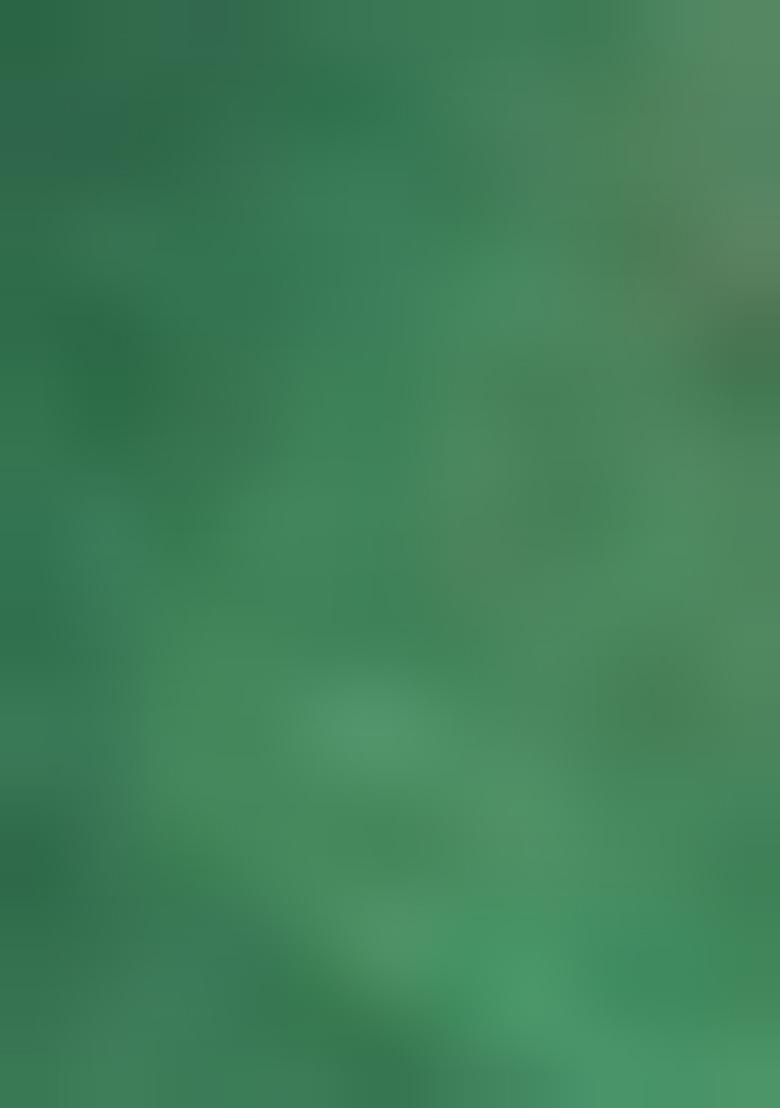 Green Zari Work Cotton Saree Set