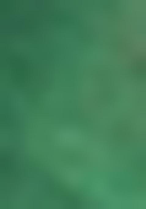 Green Zari Work Cotton Saree Set