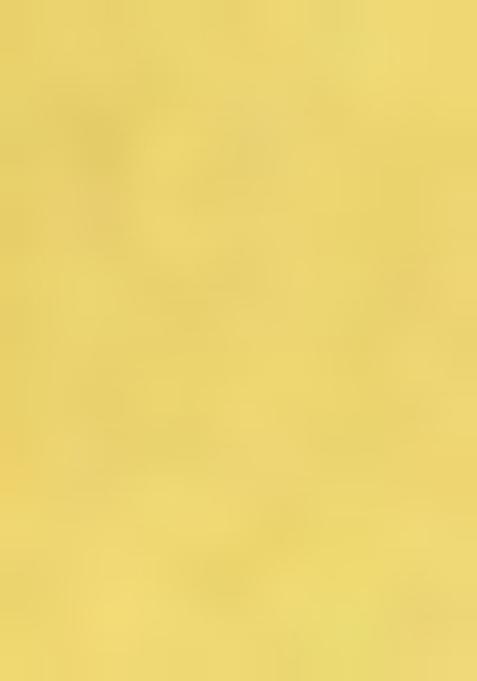 Yellow Zari Work Silk Saree Set