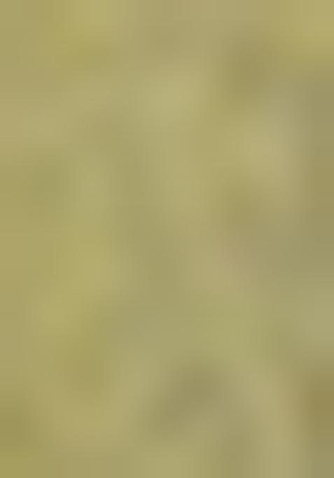 Copper Zari Work Silk Saree Set