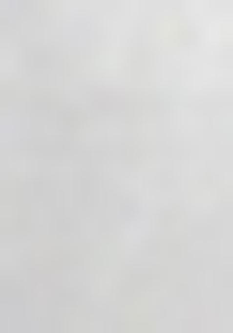 Off White Zari Work Cotton Saree Set