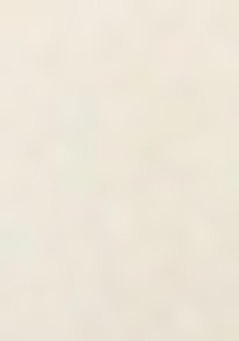 Off White Embroidered Cotton Saree Set