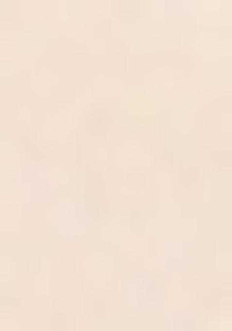 Off White Embroidered Cotton Saree Set