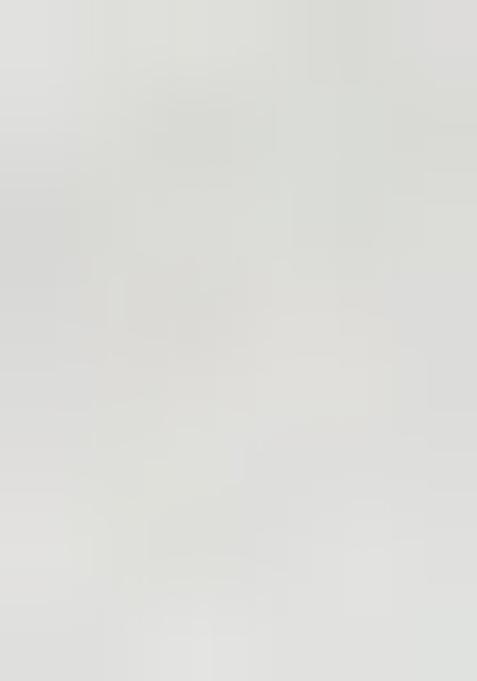 Off White Embroidered Cotton Saree Set