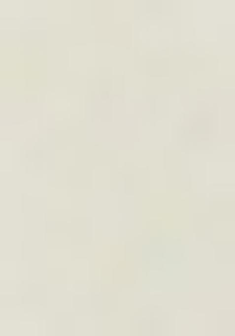 Off White Embroidered Cotton Saree Set