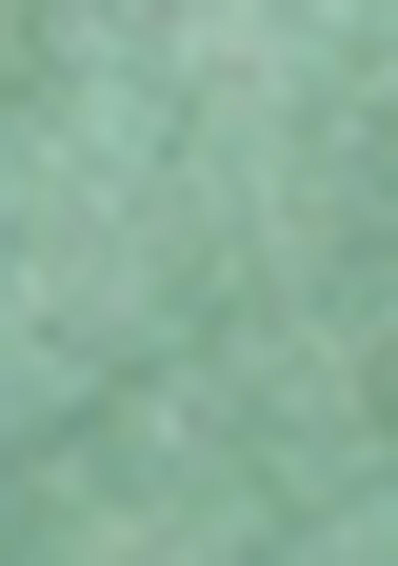 Green Printed Silk Saree Set