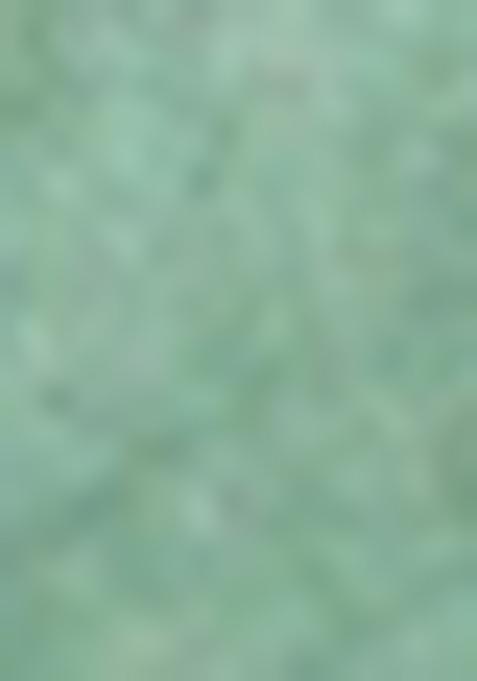 Green Printed Silk Saree Set