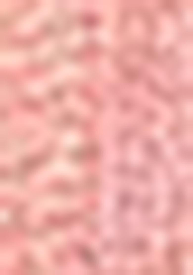 Pink Zari Work Silk Saree Set