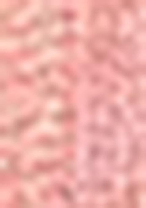 Pink Zari Work Silk Saree Set