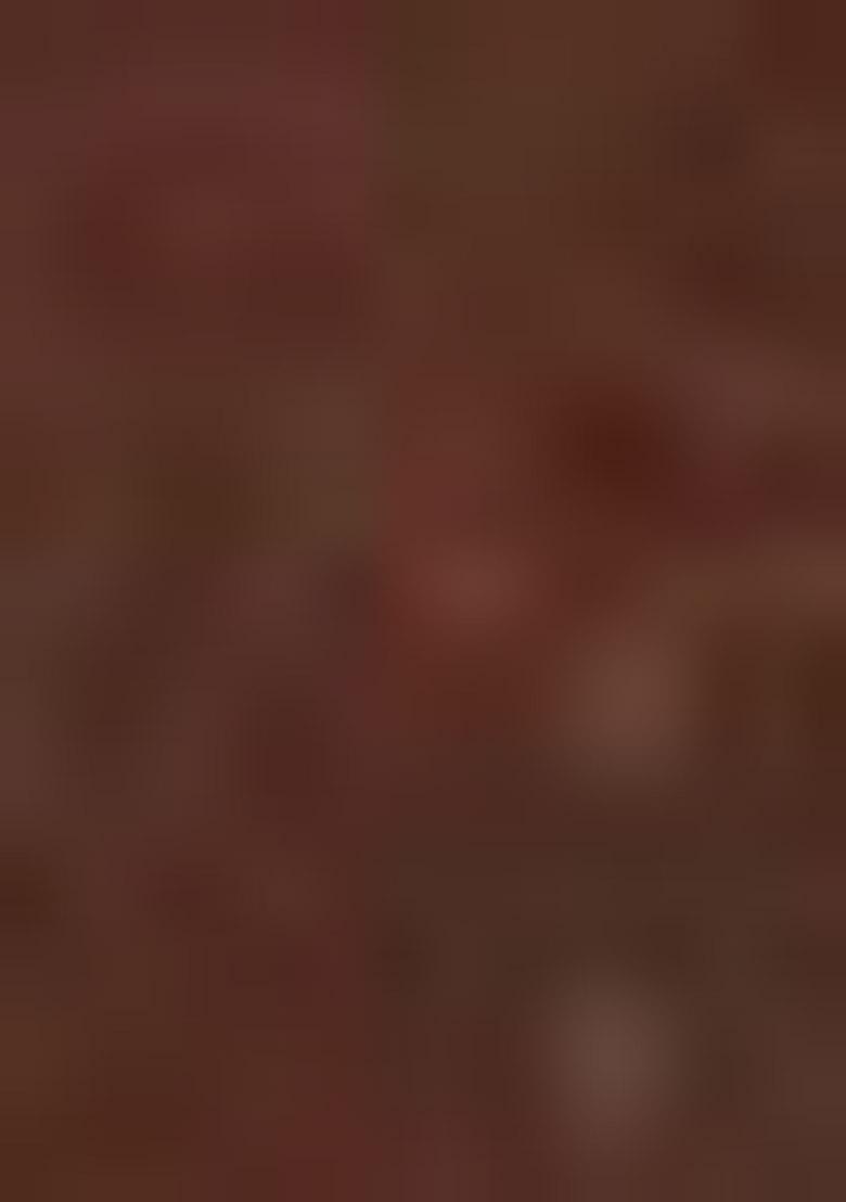 Brown Zari Work Silk Saree Set