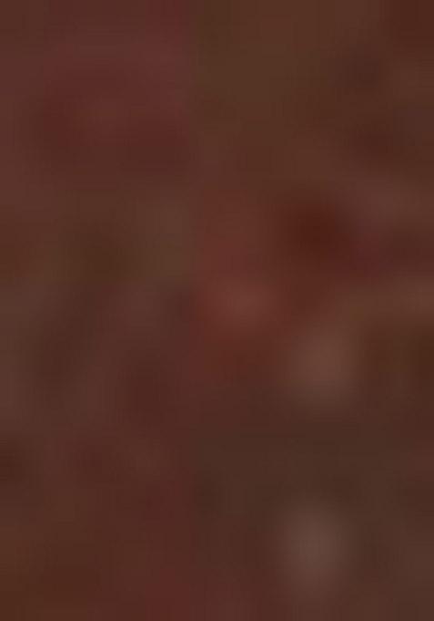 Brown Zari Work Silk Saree Set